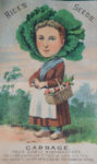 True Early Winningstadt Cabbage - Rice Seeds Advertising Card