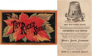 Rice's Seed Gardens - Rice Seeds Advertising Card