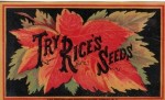 Rice's Seed Gardens - Rice Seeds Advertising Card