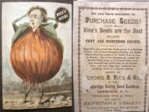 Onion Man - Rice Seeds Advertising Card
