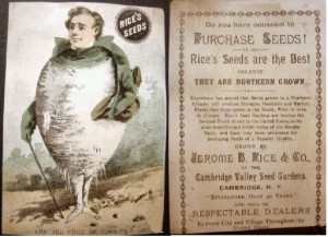 Turnip Man - Rice Seeds Advertising Card