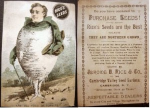 Turnip Man - Rice Seeds Advertising Card