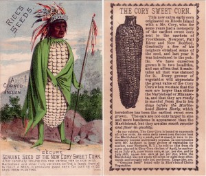 A Corned Indian, Cory Sweet Corn Seeds - Rice Seeds Advertising Card