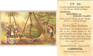 Cuban Queen Watermelon - Rice Seeds Advertising Card