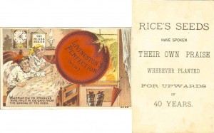 Livingston's Perfection Tomatoes - Rice Seeds Advertising Card