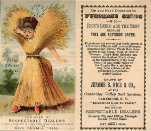 Wheat Girl - Rice Seeds Advertising Card