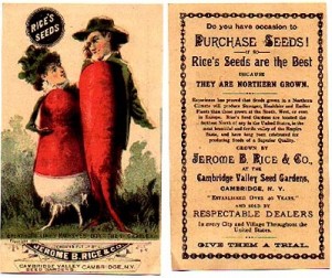 Radish People - Rice Seeds Advertising Card