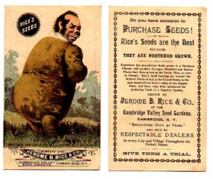 Potato Man - Rice Seeds Advertising Card