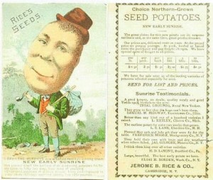 Potato Man – Rice Seeds Advertising Card