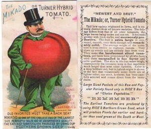 The Mikado or Turner Hybrid Tomato Man – Rice Seeds Advertising Card
