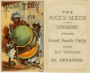 Musk Melon – Rice Seeds Advertising Card